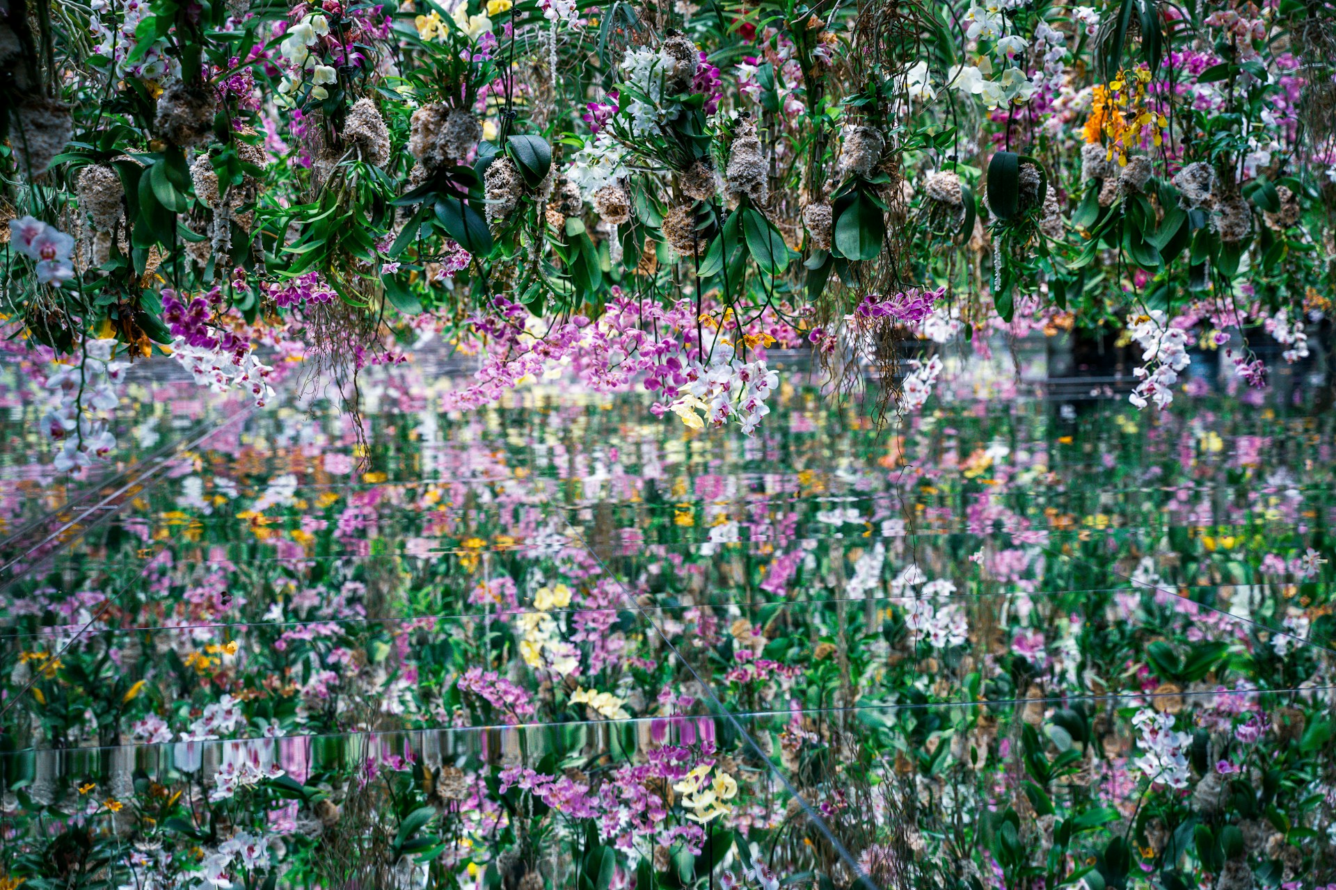 teamLab Planets